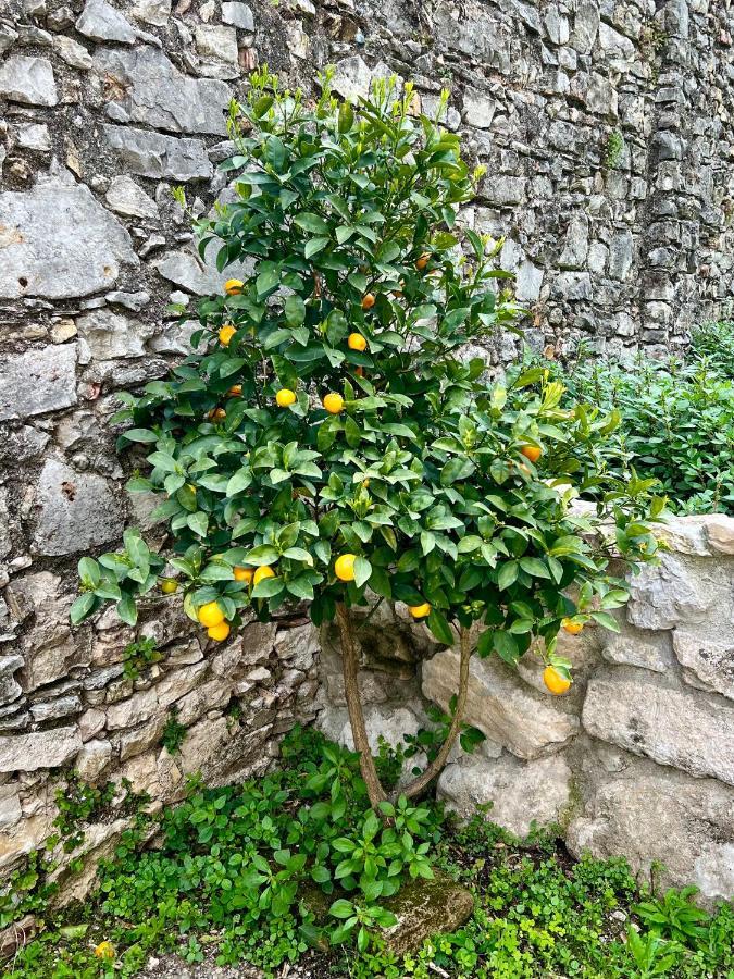 Villa Del Lis Gargnano Dış mekan fotoğraf